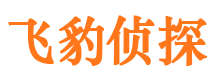 大丰市私家侦探